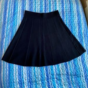 Ann Taylor skirt